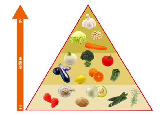 デザイナーズフーズ理論に基づく管理栄養士監修スープ