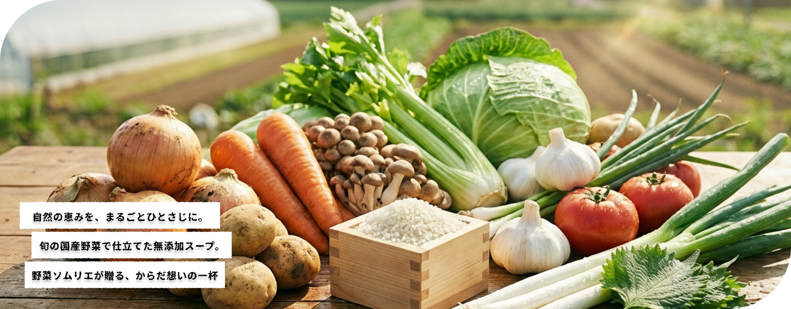 私たちについて