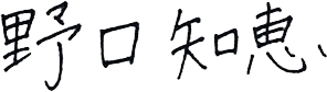 野口知恵